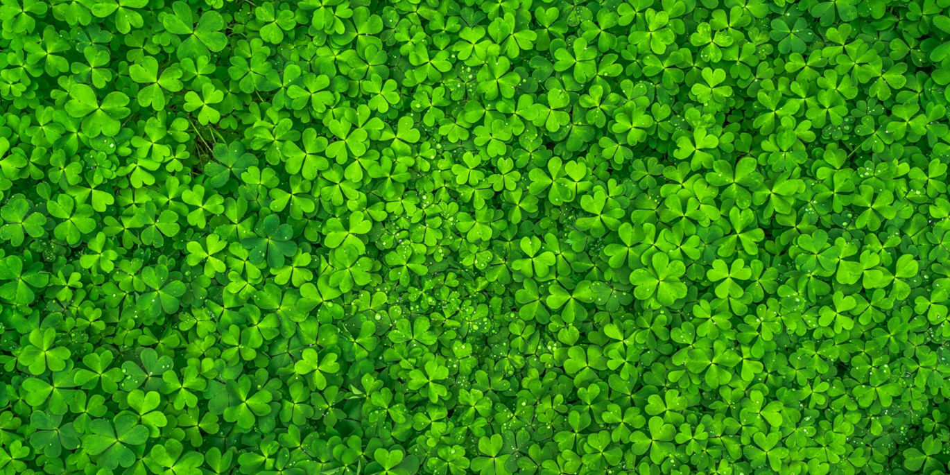 Ways You Can Celebrate St Patrick's Day